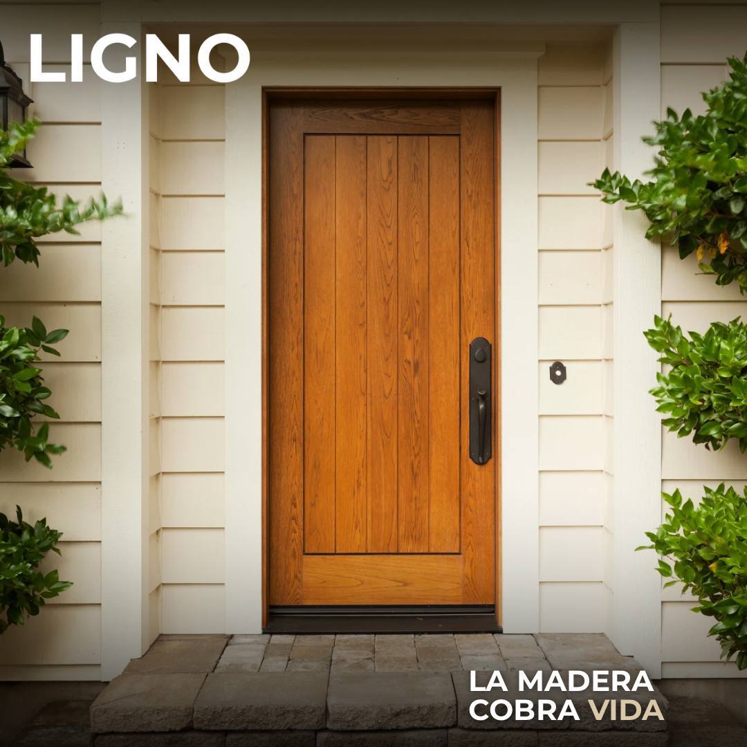 Puertas de madera en Querétaro